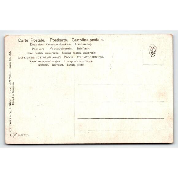 Pigeons Birds Postcard Rustic View Artist Signed Muller Wildlife HKM 317 Unused - Picture 2 of 2